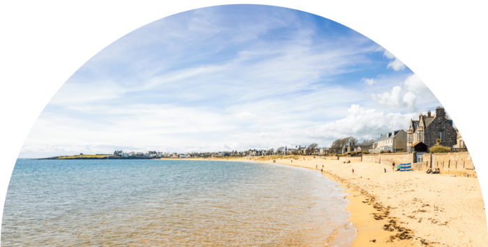 A strip of beach with some houses just behind it on a sunny day
